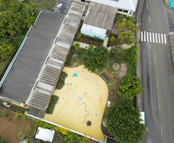 platanes sud