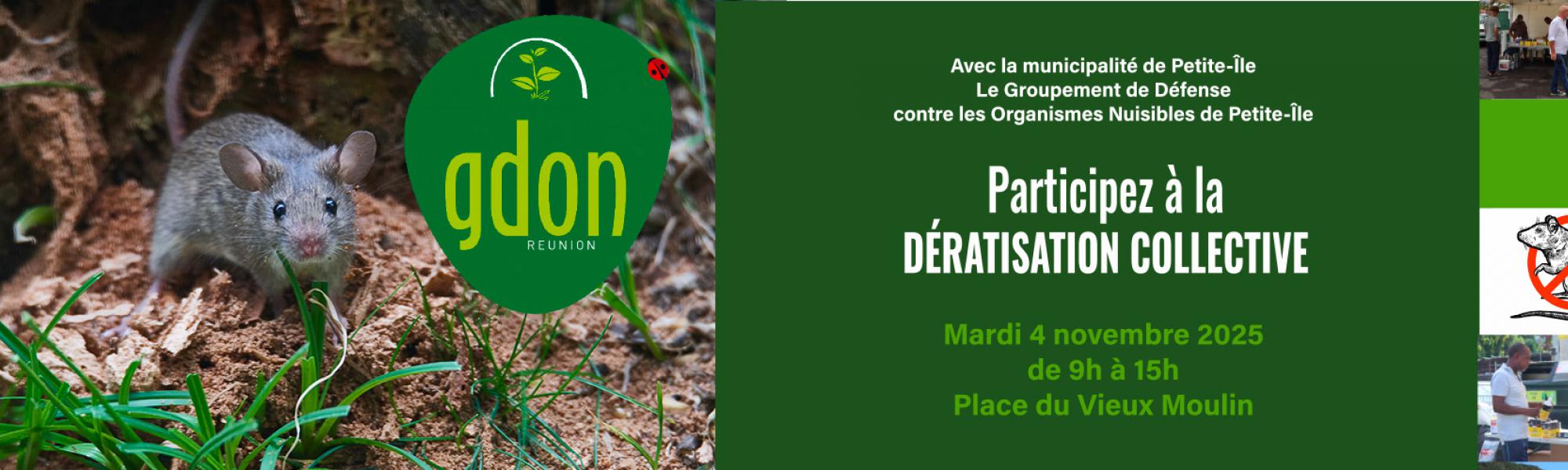 Bandeau dératisation du mardi 4 novembre